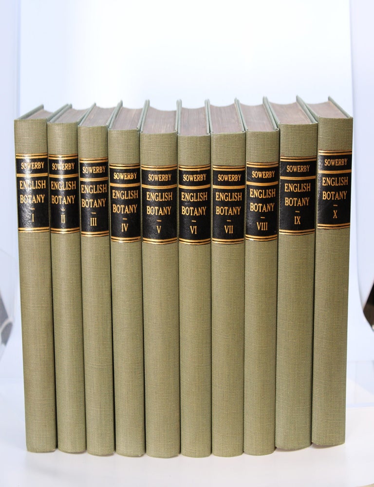 Item #130 English Botany; or, Coloured Figures of British Plants. JAMES SOWERBY, JAMES EDWARD SMITH.