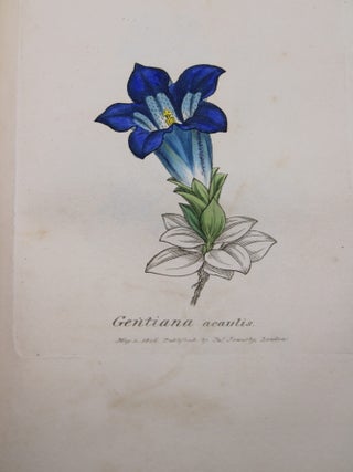 English Botany; or, Coloured Figures of British Plants.
