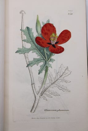 English Botany; or, Coloured Figures of British Plants.