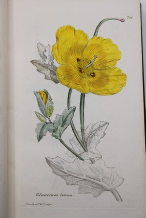 English Botany; or, Coloured Figures of British Plants.