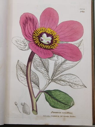 English Botany; or, Coloured Figures of British Plants.