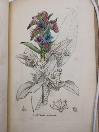English Botany; or, Coloured Figures of British Plants.