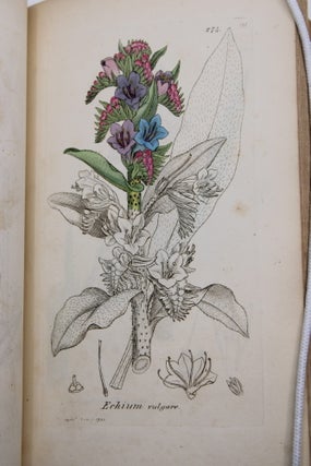 English Botany; or, Coloured Figures of British Plants.