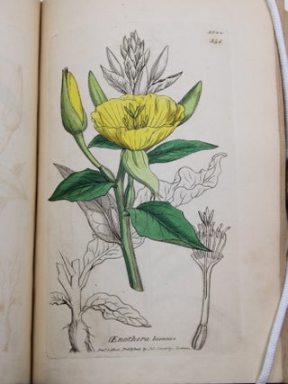 English Botany; or, Coloured Figures of British Plants.