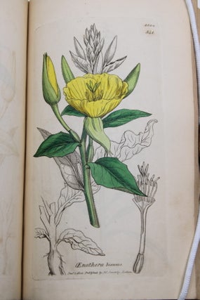 English Botany; or, Coloured Figures of British Plants.