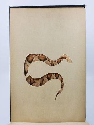 Concealing Coloration in the Animal Kingdom.