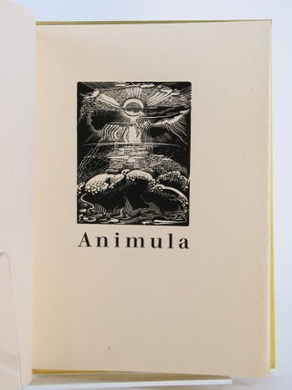 Animula.