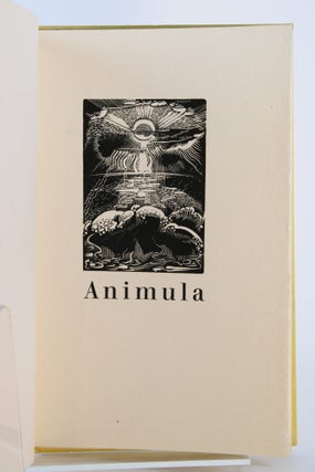 Animula.