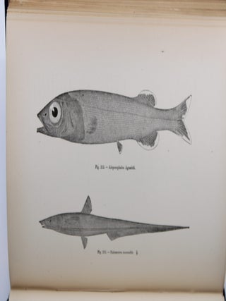 THREE CRUISES OF THE UNITED STATES COAST AND GEODETIC SURVEY STEAMER "BLAKE"